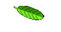 Hobbys